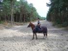 Ohne Pferd/Pony geht es nicht. Wir suchen eine Reitbeteiligung