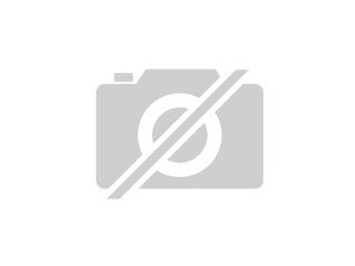 Suche dringend Meerschweinchen